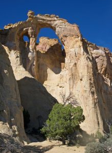 Grosvenor Arch