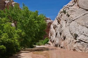 Hackberry Canyon