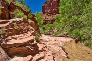 Hackberry Canyon