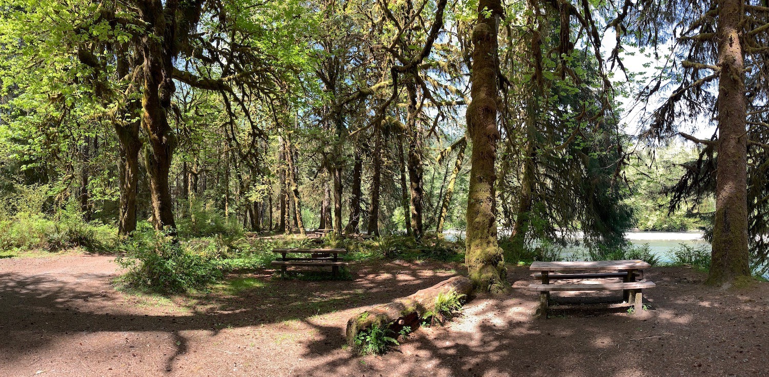 Queets Campground – Olympic National Park